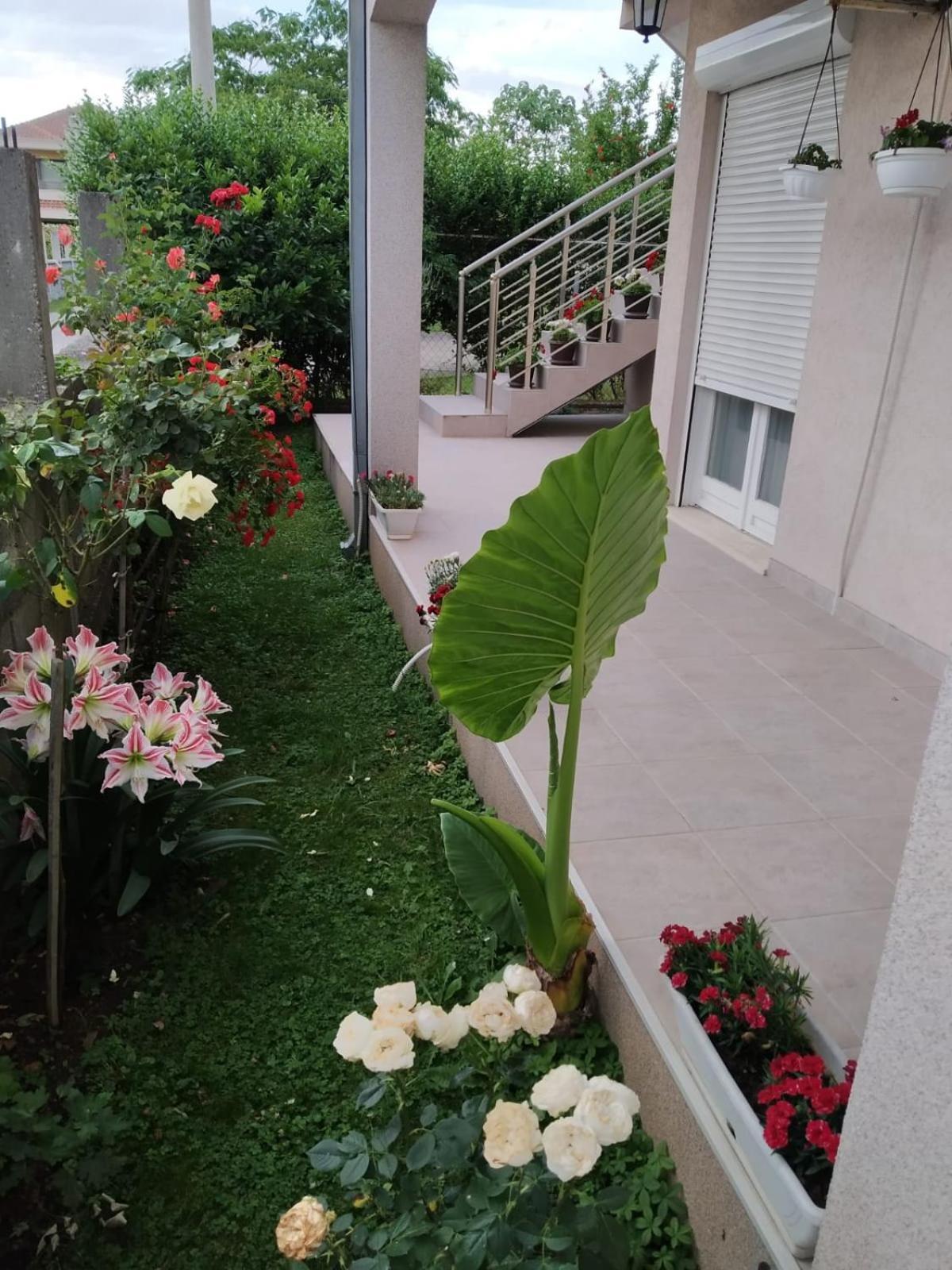 Entire House Floor - 2-Bedroom Cozy & Peaceful Apartment Podgorica Exterior photo
