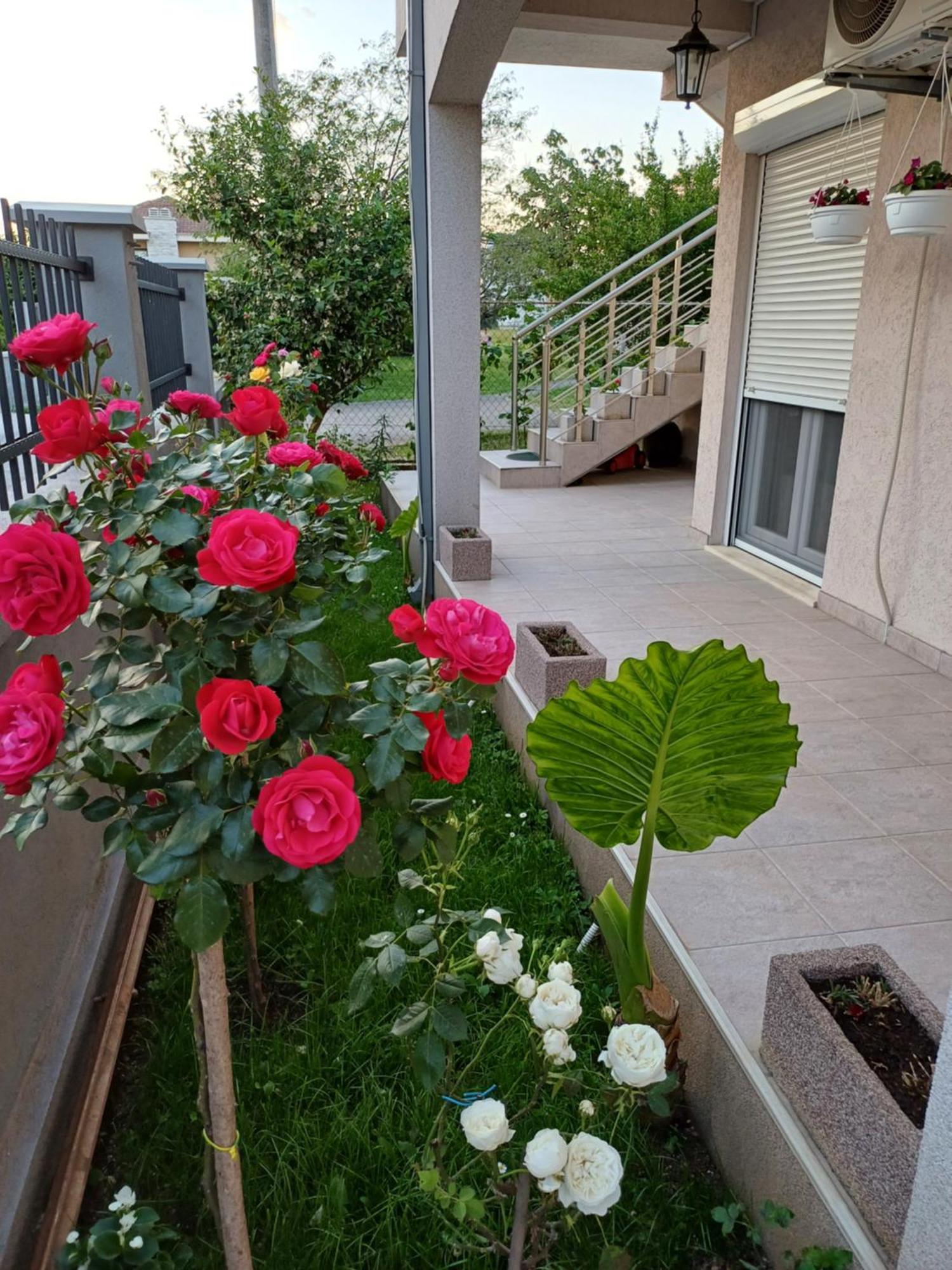 Entire House Floor - 2-Bedroom Cozy & Peaceful Apartment Podgorica Exterior photo